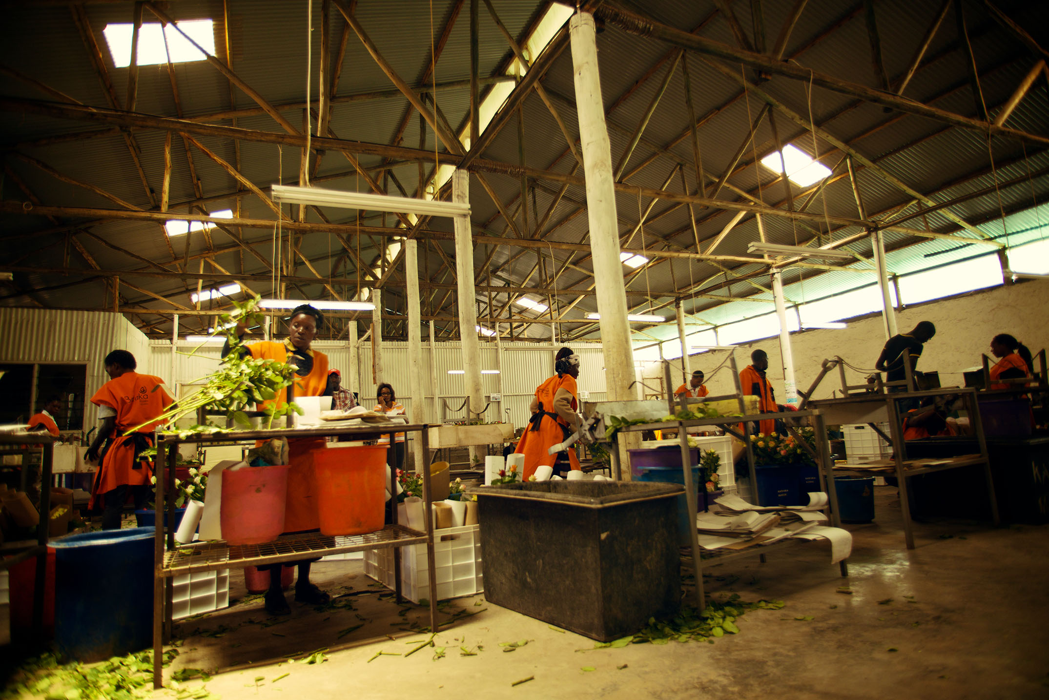 One of the warehouse used by staff to package and select roses for shipping at Baraka Roses Ngorika.