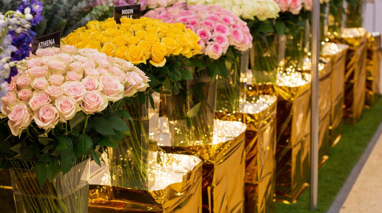 Baraka Roses Ngorika's stand featuring a wide array of roses and a banner with the word's Baraka during the iftex 2024 event held at visa oshwal center Nairobi.