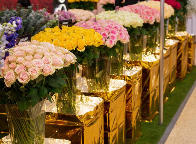 Baraka Roses Ngorika's stand featuring a wide array of roses and a banner with the word's Baraka during the iftex 2024 event held at visa oshwal center Nairobi.