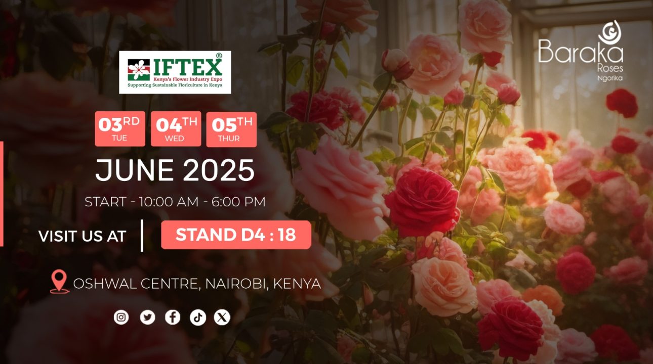IFTEX 2025 Baraka Roses Website Banner