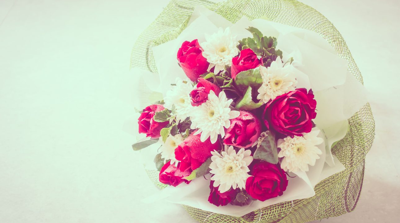 flower-green-wood-background-wild