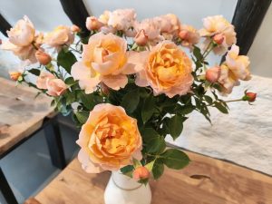 Julietta Honey